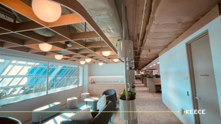 Office Fit-Out for SHAPE SA – 55 Currie Street, Adelaide- office custom lights